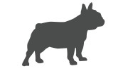 naklejka-buldog-francuski-2-grafitowa.jpg