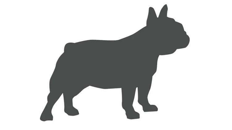 naklejka-buldog-francuski-2-grafitowa.jpg