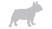 naklejka-buldog-francuski-2-jasny-szary.jpg