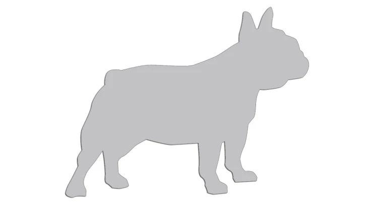 naklejka-buldog-francuski-2-jasny-szary.jpg