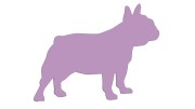 naklejka-buldog-francuski-2-liliowa.jpg