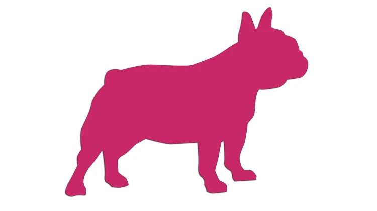 naklejka-buldog-francuski-2-rozowa.jpg