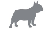 naklejka-buldog-francuski-2-szara.jpg