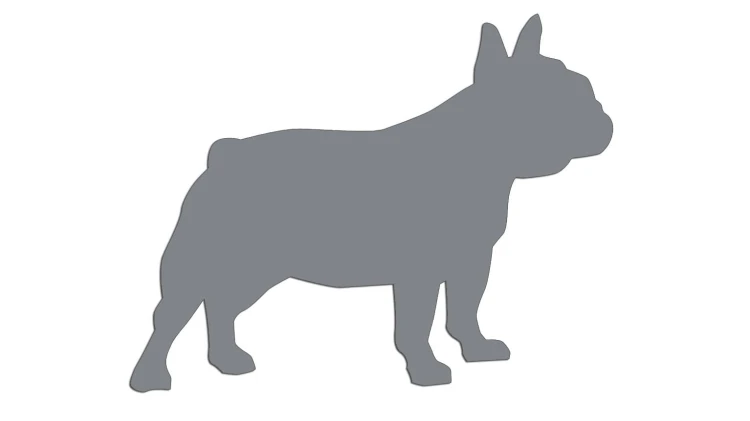 naklejka-buldog-francuski-2-szara.jpg
