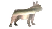 naklejka-buldog-francuski-2-chrom.jpg