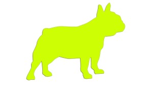BULDOG FRANCUSKI #2 - PIES - kolory neonowe