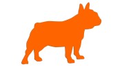 naklejka-buldog-francuski-2-pomaranczowa-neon.jpg