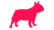 naklejka-buldog-francuski-2-rozowa-neon.jpg