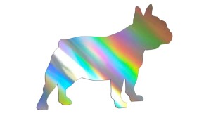 BULDOG FRANCUSKI #2 - PIES - holograficzna
