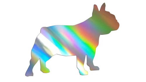 naklejka-buldog-francuski-2-holograficzna.jpg