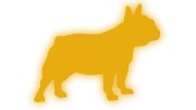 naklejka-buldog-francuski-2-zolty-odblask.jpg