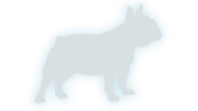 naklejka-buldog-francuski-2-bialy-odblask.jpg