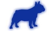 naklejka-buldog-francuski-2-niebieski-odblask.jpg
