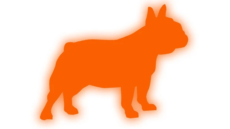 naklejka-buldog-francuski-2-pomaranczowy-odblask.jpg