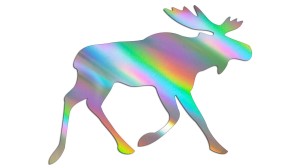 SPACERUJŚCY ŁOŚ - holograficzna