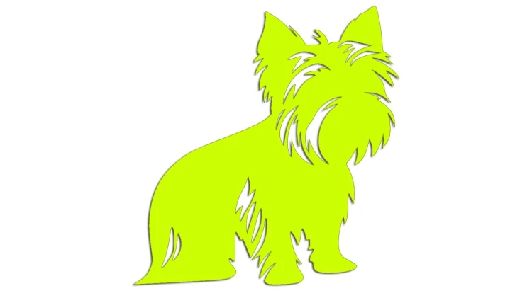 naklejka-york-zolta-neon.jpg