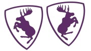 naklejki-los-volvo-saab-scania-lewa-prawa-fioletowe.jpg