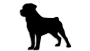 naklejka-rottweiler.jpg