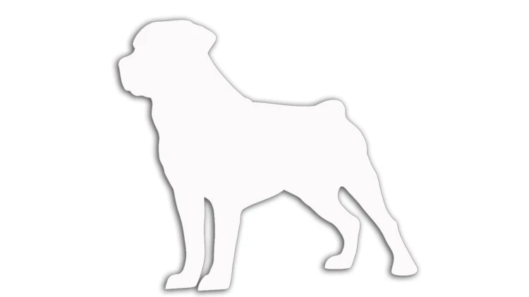naklejka-rottweiler-biala.jpg