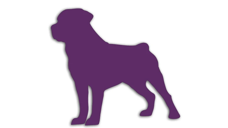 naklejka-rottweiler-fioletowa.jpg