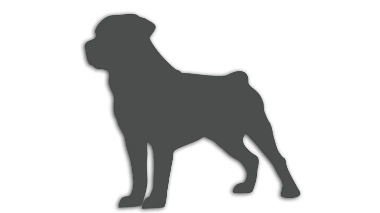 naklejka-rottweiler-grafitowa.jpg