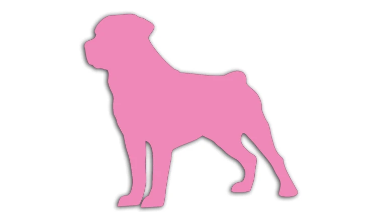 naklejka-rottweiler-jasny-rozowy.jpg