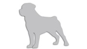 naklejka-rottweiler-jasny-szary.jpg