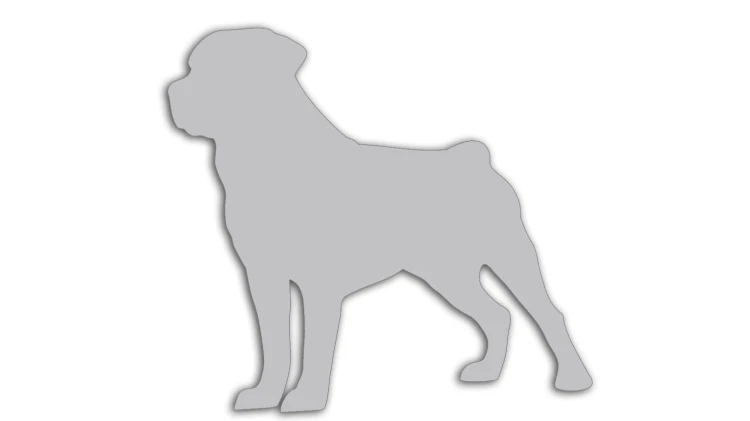 naklejka-rottweiler-jasny-szary.jpg