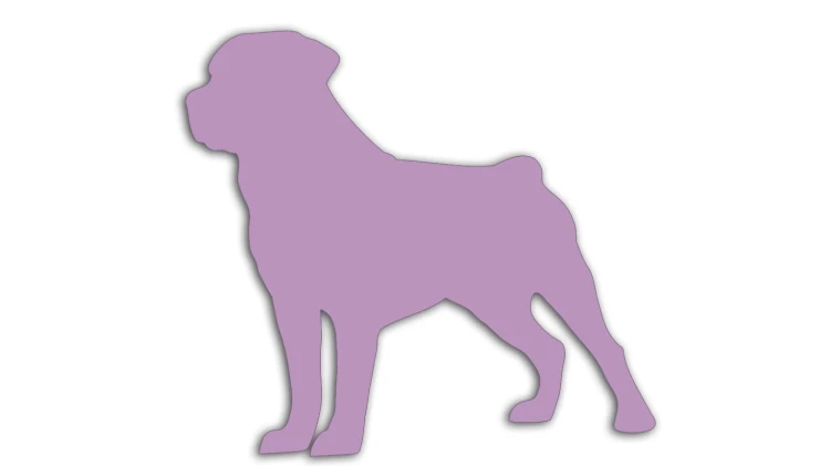 naklejka-rottweiler-liliowa.jpg