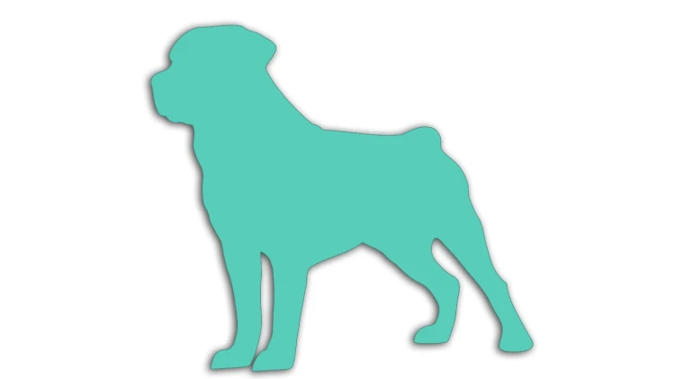 naklejka-rottweiler-mietowa.jpg