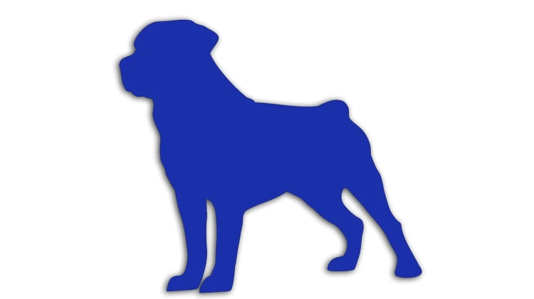 naklejka-rottweiler-modrakowa.jpg