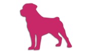 naklejka-rottweiler-rozowa.jpg