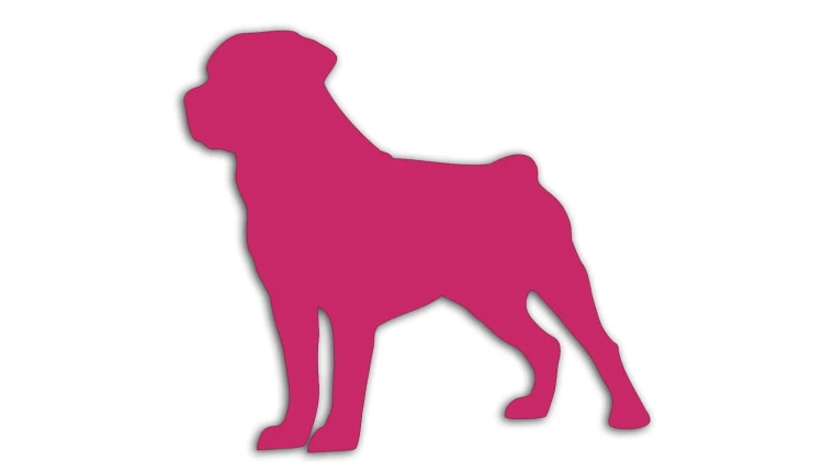 naklejka-rottweiler-rozowa.jpg