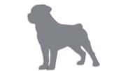 naklejka-rottweiler-szara.jpg