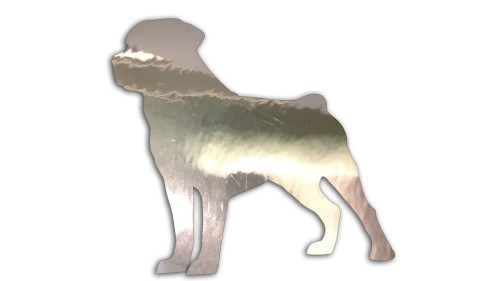 naklejka-rottweiler-chrom.jpg