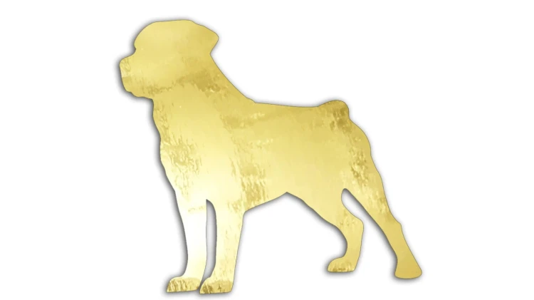naklejka-rottweiler-zloty-chrom.jpg