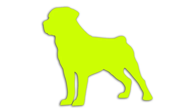 naklejka-rottweiler-zolta-neon.jpg