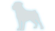 naklejka-rottweiler-bialy-odblask.jpg
