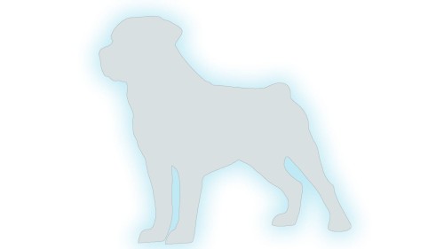 naklejka-rottweiler-bialy-odblask.jpg