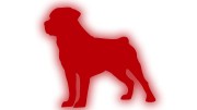 naklejka-rottweiler-czerwony-odblask.jpg