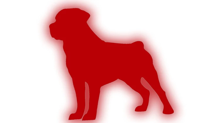 naklejka-rottweiler-czerwony-odblask.jpg