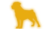 naklejka-rottweiler-zolty-odblask.jpg