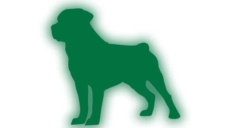 naklejka-rottweiler-zielony-odblask.jpg