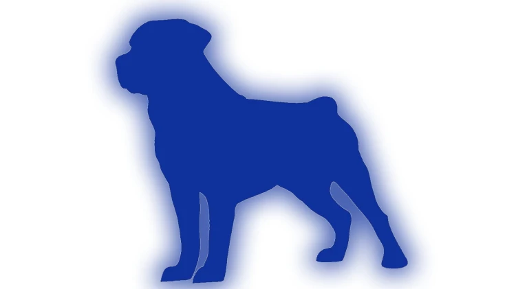 naklejka-rottweiler-niebieski-odblask.jpg
