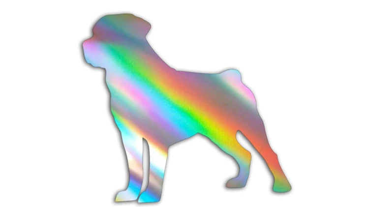 naklejka-rottweiler-holograficzna.jpg