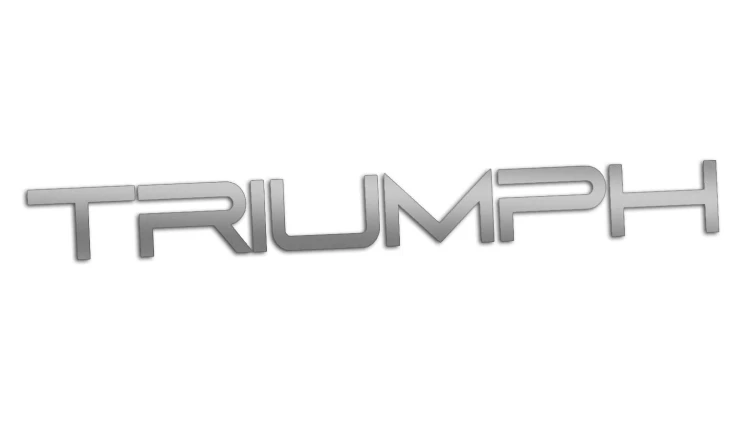 naklejka-triumph-napis-1-srebrna.jpg