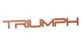 naklejka-triumph-napis-1-miedziana.jpg