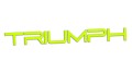 naklejka-triumph-napis-1-zolta-neon.jpg