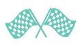 naklejka-flaga-wyscigowa-szachownica-mietowa.jpg