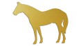naklejka-kon-3-zlota.jpg